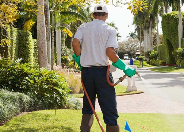 About Guston KY Pest Control